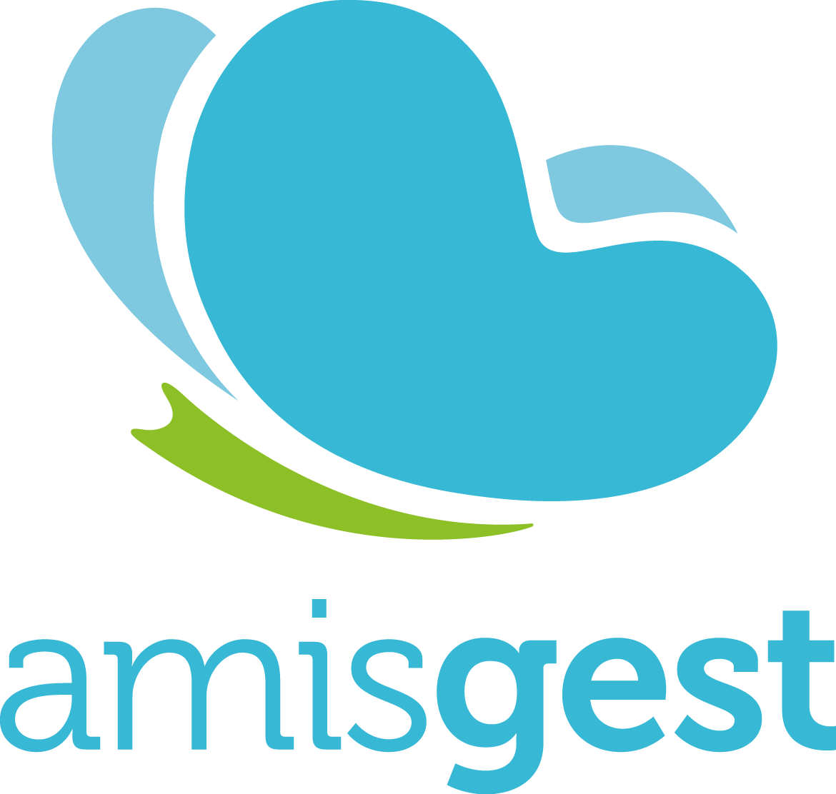 Amisgest